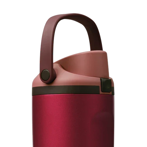 Owala Holiday Collection FreeSip? Sway Poinsettia 30oz