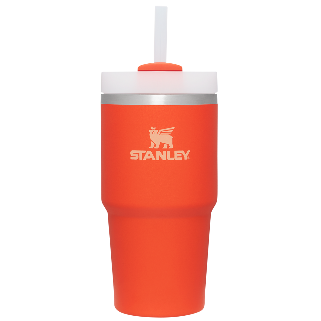 The Quencher H2.0 Flowstate™ Tumbler D030T