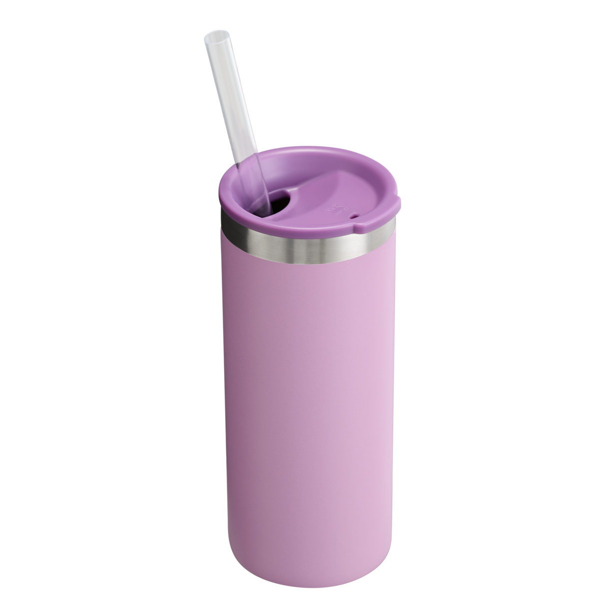 The Everyday Slim Can Cooler Cup | Stanley Create D300G