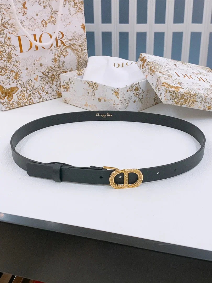 Dior Crystal Buckle Belt 30mm Smooth Calfskin 186307