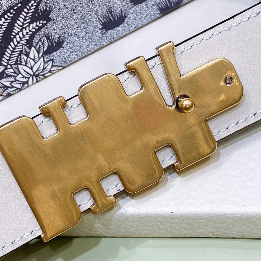 Dior 2026 D-Fence Reversible Belt 3.0cm Calfskin