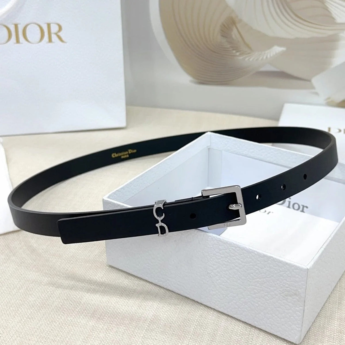 Dior 2026 Saddle Loop Belt 20mm Cowhide 190692