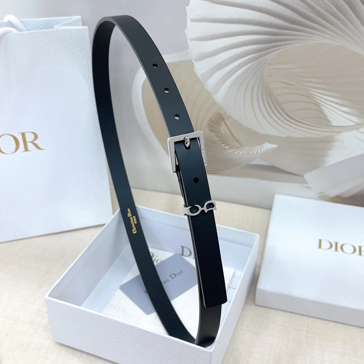 Dior 2026 Saddle Loop Belt 20mm Cowhide 190692
