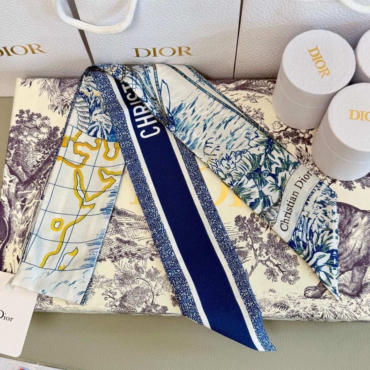 Dior 26s Scarf 100cm In Silk 305845