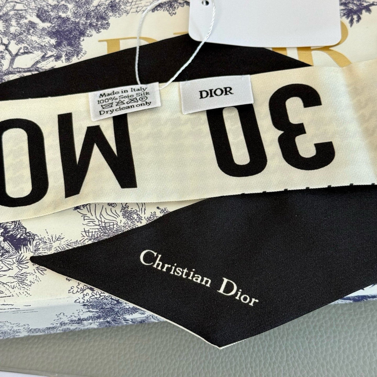 Dior 26s Scarf 100cm In Silk 313134