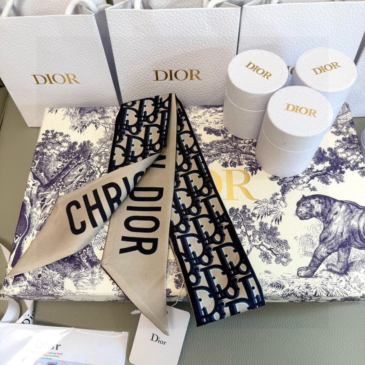 Dior 26s Scarf 100cm In Silk 313136