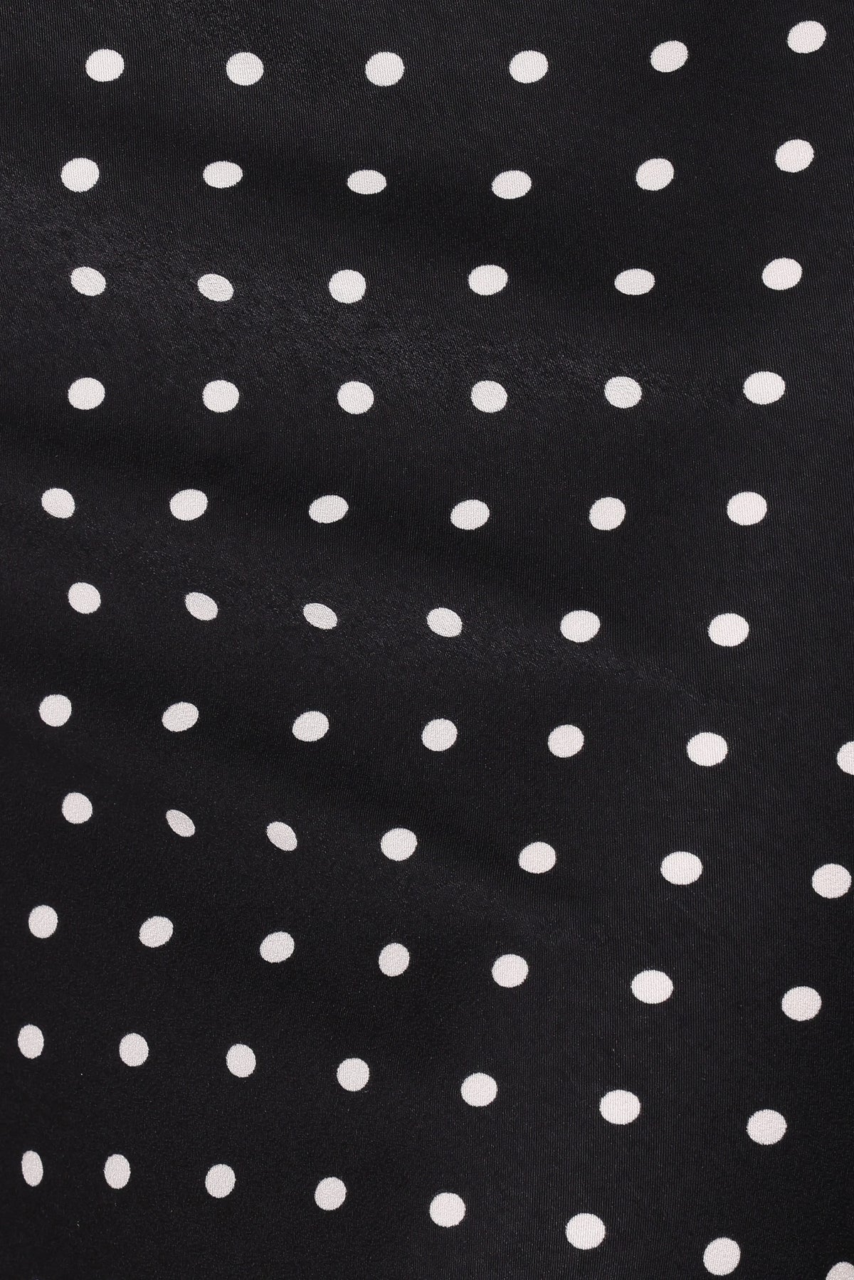 Ailbhe Lace Skirt - Black Polka Dot